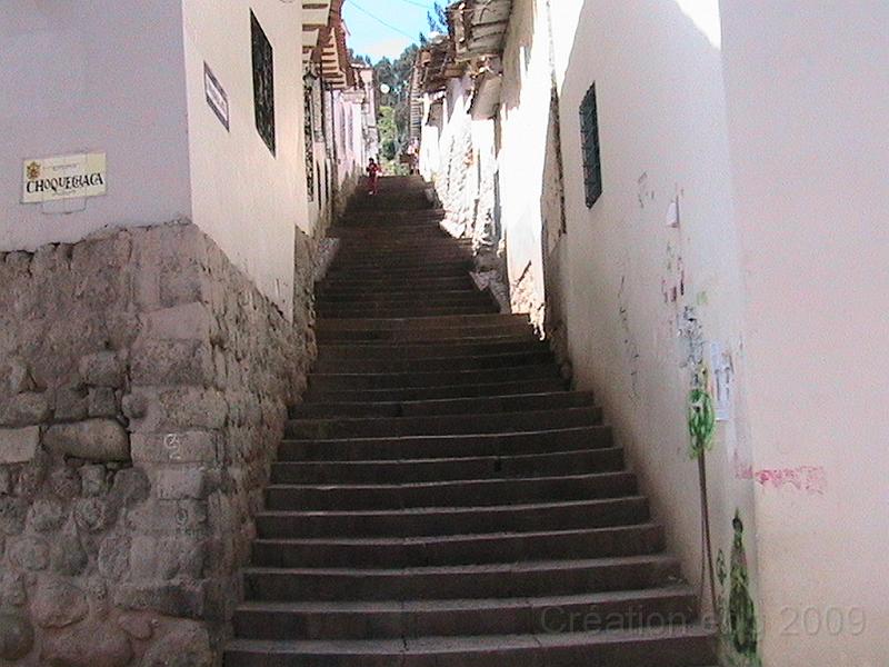 IMG_0254.JPG